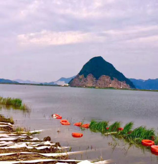 9001cc金沙以诚为本(中国集团)有限公司官网